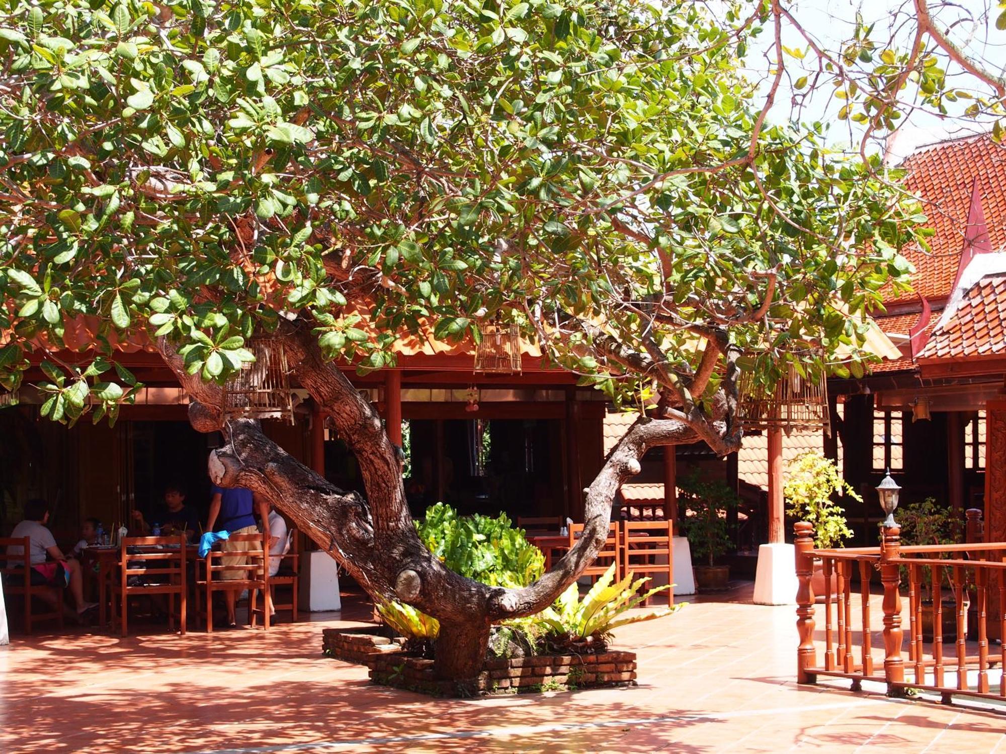 Harry'S Bungalows Mae Nam Exterior foto